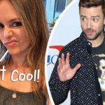Rachel Bilson's Podcast Co-Host BLOCKED Justin Timberlake From Flirting With Her!