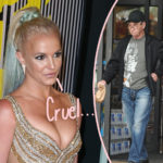 Britney Spears Claims Dad Made Her Eat Only 'Chicken & Canned Vegetables' For 2 Years!