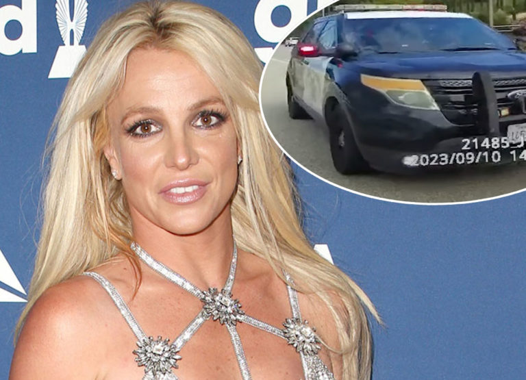 Britney Spears California police Navigating the Crisis: A Local Resource Guide