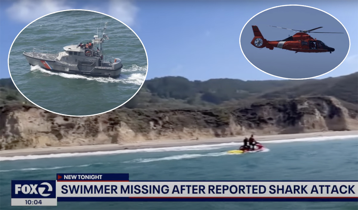 #California Swimmer Vanishes Without A Trace At Famous Beach — Feared To Be A Shark Attack Victim
