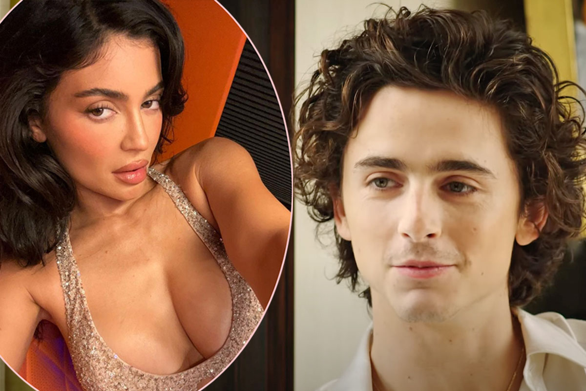 Timothee Chalamet Wants Privacy After Debuting Kylie Jenner Romance