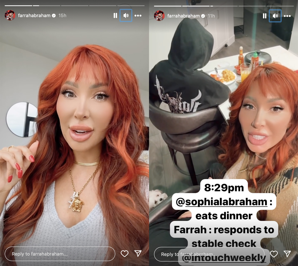 Farrah Abraham Calls Out Jenelle Evans After Denying Salacious Fan Rumors About Her Private New Boyfriend!