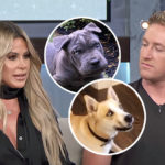 Kim Zolciak & Kroy Biermann In Doghouse As Neighbors Call Cops After Their 'Dangerous' Dog 'Almost Attacked' Kids!