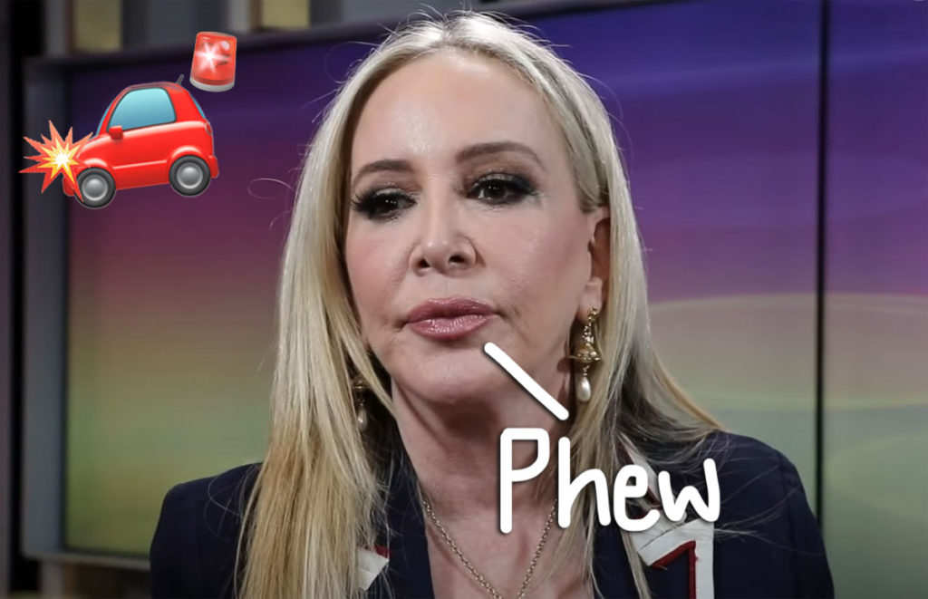 Shannon Beador Gets Slap On Wrist In DUI Case - AVOIDS Jail Time In Lax ...