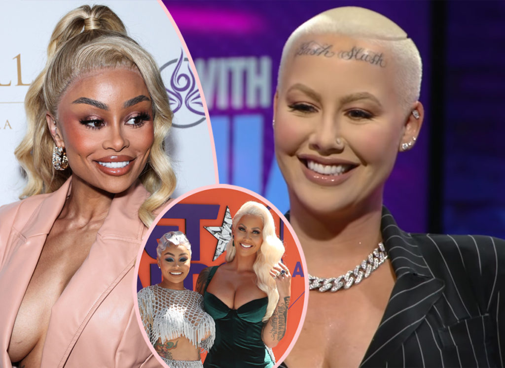 Breast friends: Blac Chyna and Amber Rose let it hang out
