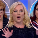 Meghan McCain Slams The View As 'Crazy Old People' Who Yell About Her All The Time!