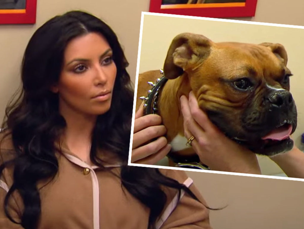 Wait A Sec, Did Kourtney Kardashian 'Steal' Baby Rocky's Name From Kim