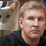 Feds BLAST Todd Chrisley's Dead Cat Story & Other Prison Condition Claims!
