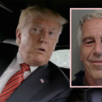 Did Donald Trump Buy Jeffrey Epstein's 'Lolita Express' To Use As His Campaign Plane?!?