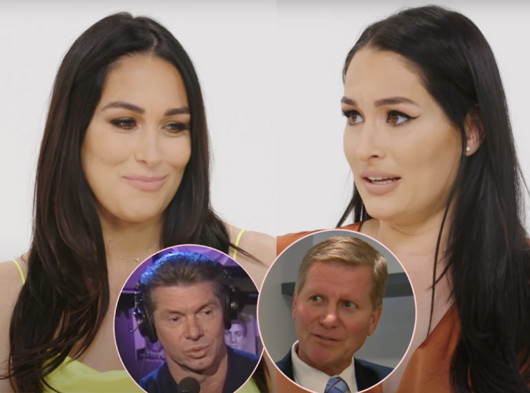 Bella Twins Release Statement On WWE Scandal But Get Slammed By Fans