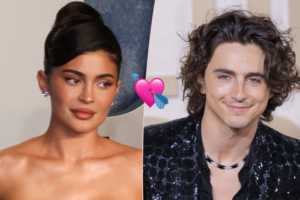 Did Kylie Jenner Drop The L-Bomb On Timothée Chalamet At The Golden Globes?! WATCH!