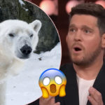 Michael Bublé Almost Got Eaten By A POLAR BEAR?!