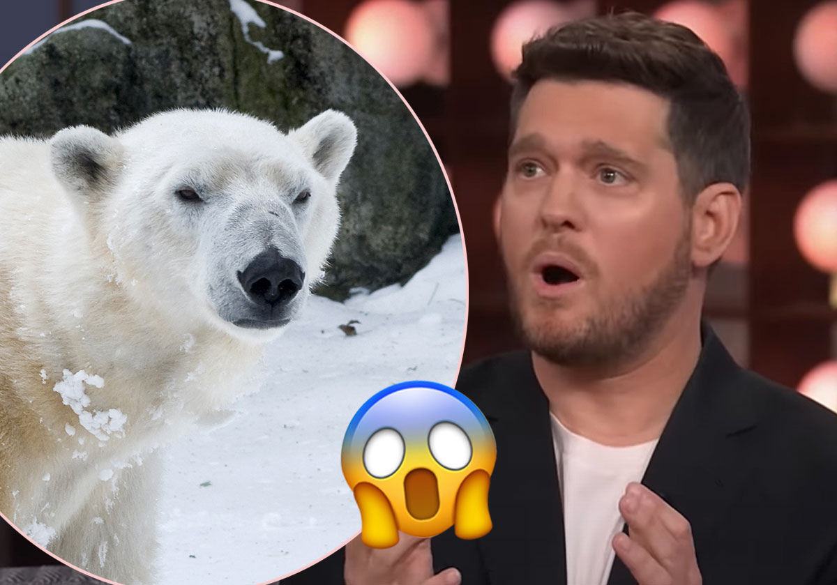 Michael Bublé Almost Got Eaten By A POLAR BEAR?!