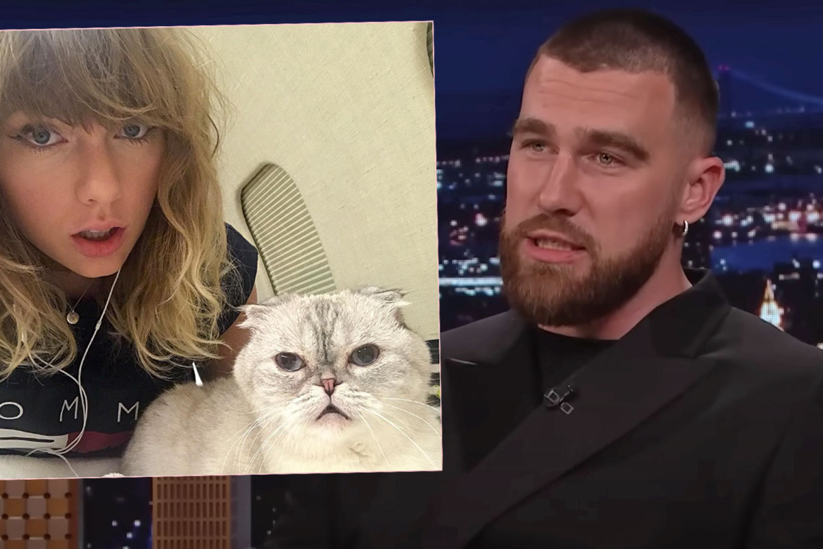 Taylor Swift's Cat Has A Higher Net Worth Than Travis Kelce?! - Perez Hilton