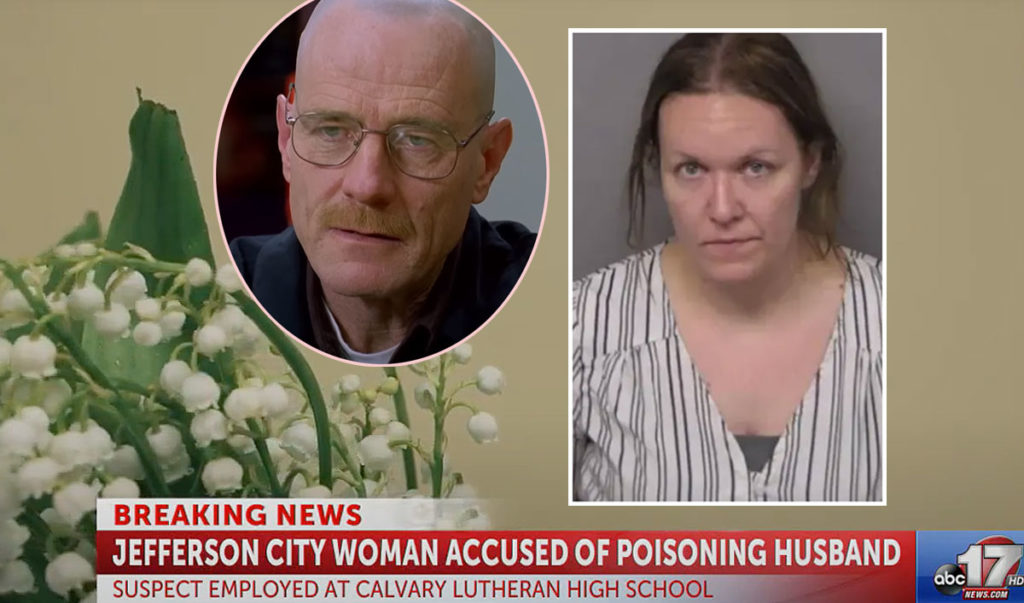 High School Teacher CAUGHT ON CAMERA Poisoning Husband's Smoothie With Breaking Bad Plant