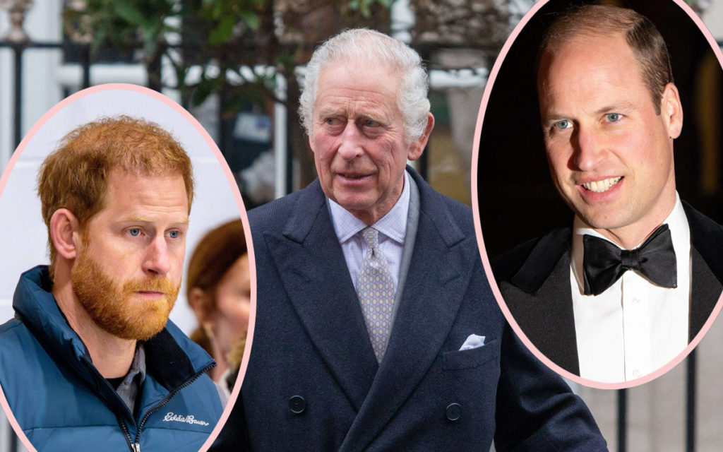 King Charles Wants To 'Mend Fences' With Prince Harry - But Will ...