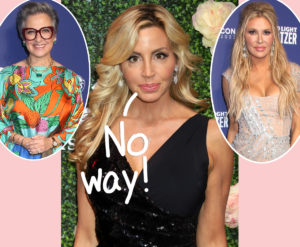 Camille Grammer Publicly Slams Caroline Manzo For Going 'Too Far' With