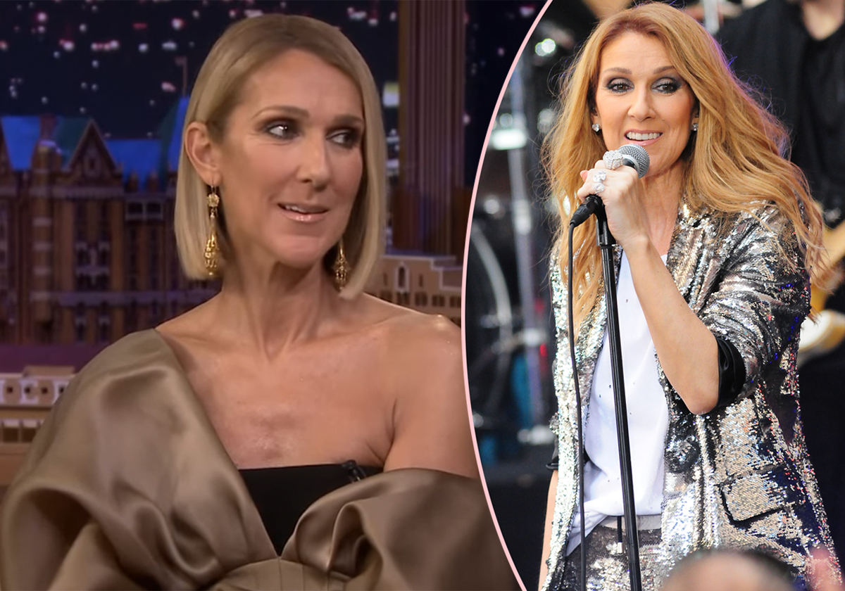 #Céline Dion Says She’s ‘Determined’ To Get Back Onstage ‘One Day’ Amid Stiff Person Syndrome Battle!