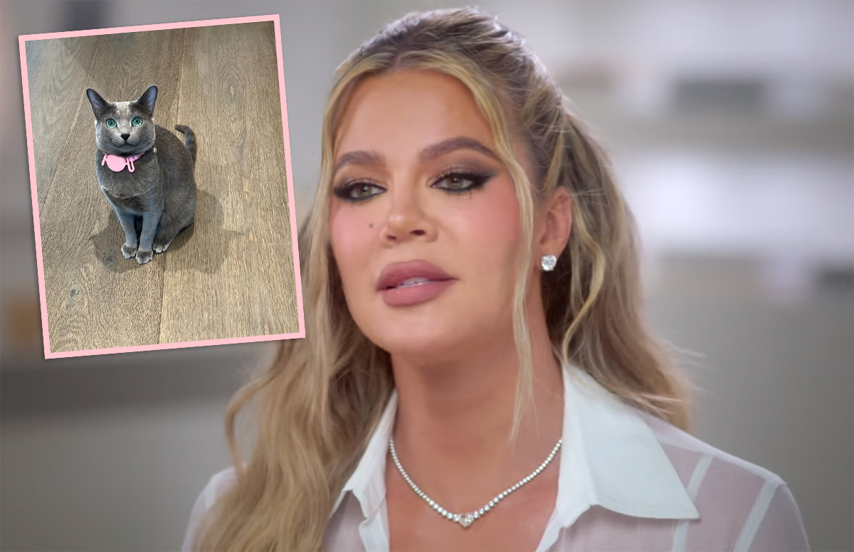 #Khloé Kardashian FINALLY Responds To Accusations She FaceTuned The Family Cat!