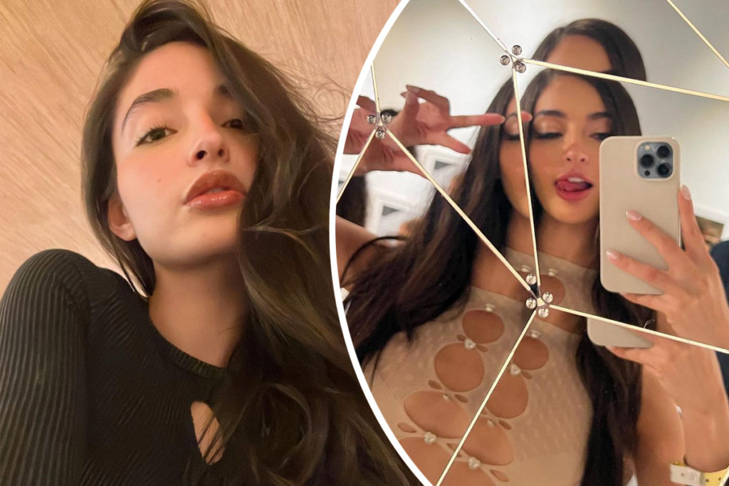 Porn Star Emily Willis Coma