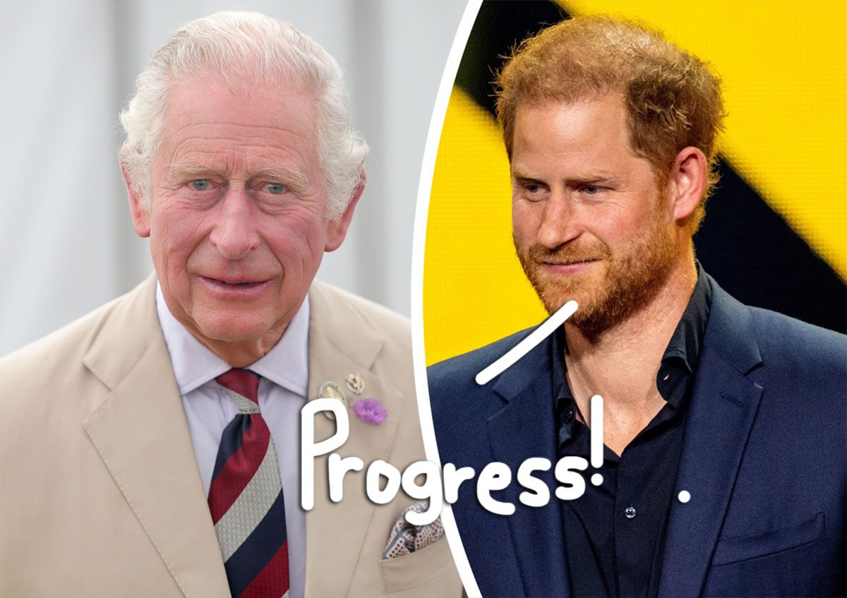 Prince Harry & King Charles Have Taken 'Baby Steps' Toward