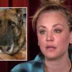 Kaley Cuoco Sadly Announces Death Of Third Dog In One Year