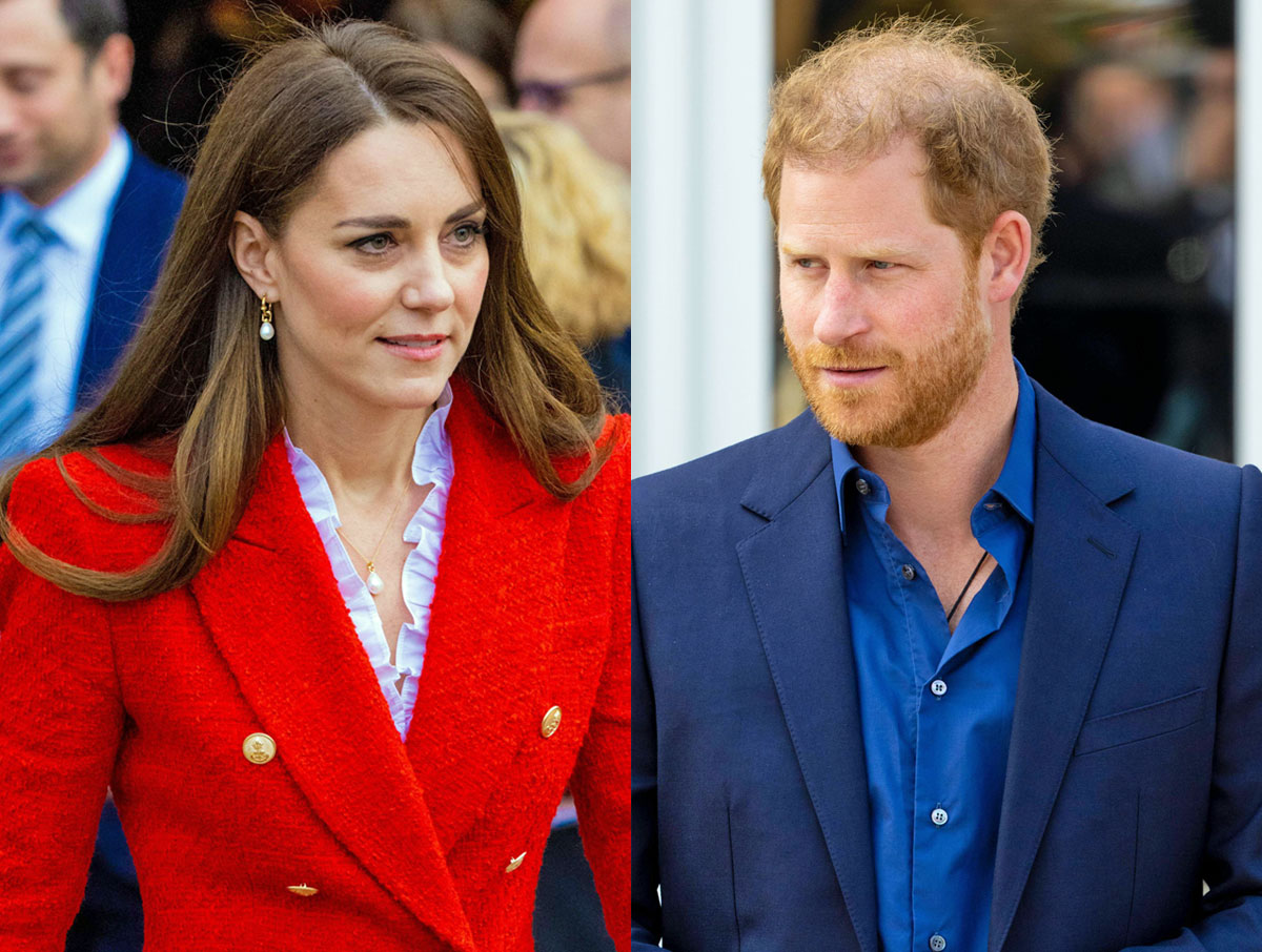 #Prince Harry ‘Concerned’ For Princess Catherine Amid Media Frenzy, BUT…