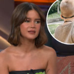 Maren Morris Hits Back At Mom-Shamers After Taking Her Son To 'Family-Friendly' Drag Show!