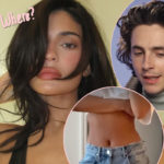 Is Kylie Jenner Subtly Responding To Pregnancy Rumors By Showing Off Her Flat Tummy??