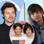 Louis Tomlinson Is Tired Of Fighting The Harry Styles Conspiracy Theories!