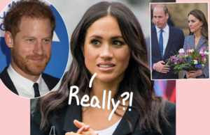 Yes, Royal Experts Are STILL Blaming Meghan Markle For William & Harry's Issues! - Perez Hilton