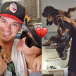 Ryan Dorsey Reveals Naya Rivera's Dog Passed Away: 'Keep Mommy Company'