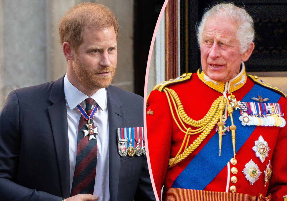#The REAL Reason Prince Harry Rejected Meeting With King Charles: REPORT