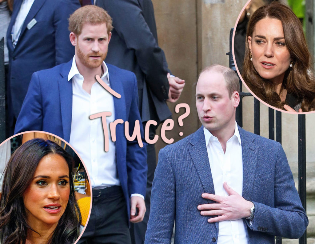 Prince Harry & Prince William ‘Haven’t Had A Real Conversation In Months’ – But That Could All Change SOON!