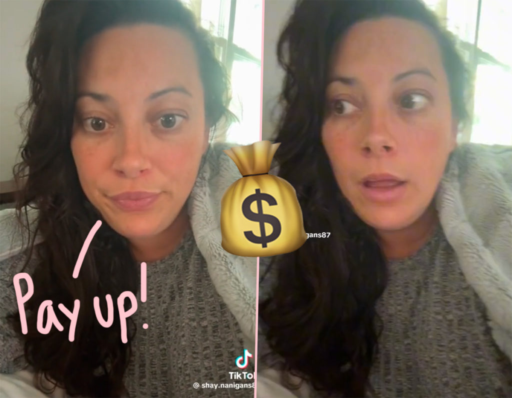 TikToker Says She Charged Another Mom Expenses For Her Child’s Playdate