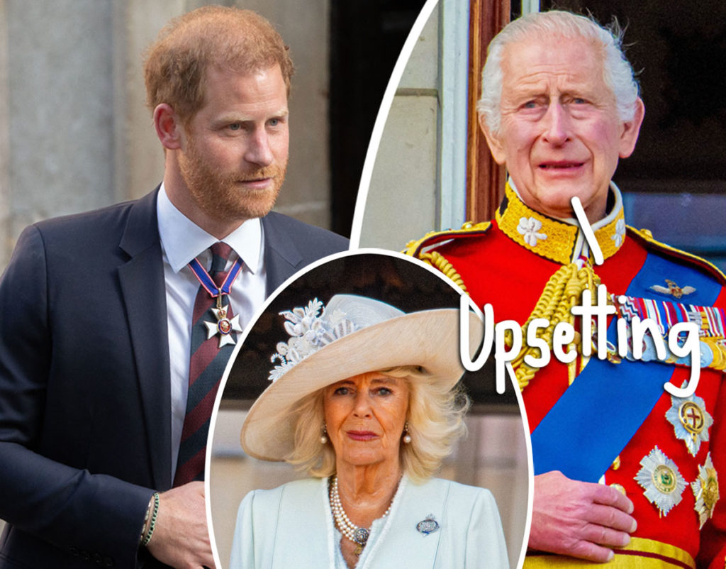 King Charles Has 'A Lot Of Anger' Toward Prince Harry Over Queen ...