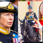 Princess Anne Hospitalized, Experiencing Memory Loss After Scary 'Incident' With Horse!