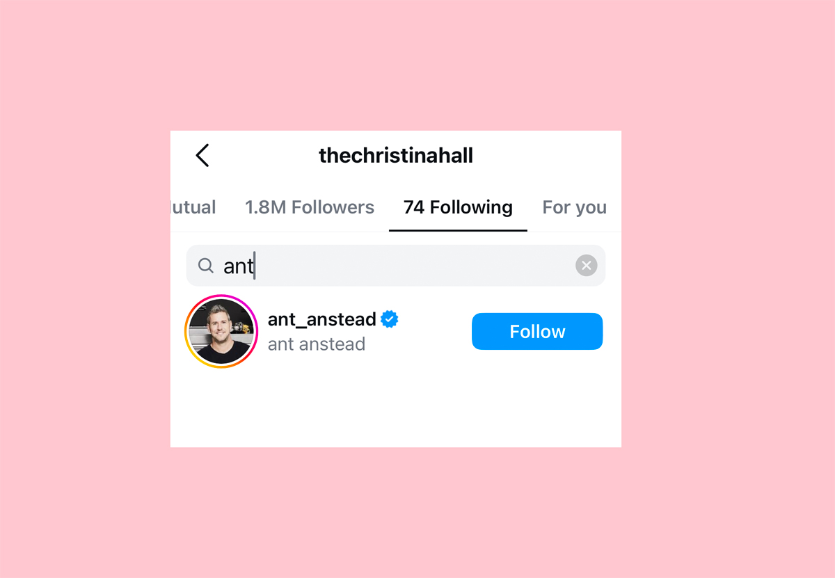 Christina Hall Follows Ex-Husband Ant Anstead On IG Amid Joshua Divorce