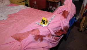'Horrific' Gypsy Rose Crime Scene Photos Convinced Expert She's A