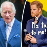 Prince Harry's Calls To King Charles About His Ailing Health Go 'Unanswered' -- They Are No Longer Speaking!