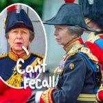Princess Anne Still 'Can't Remember' Incident With Horse That Caused Head Injury!