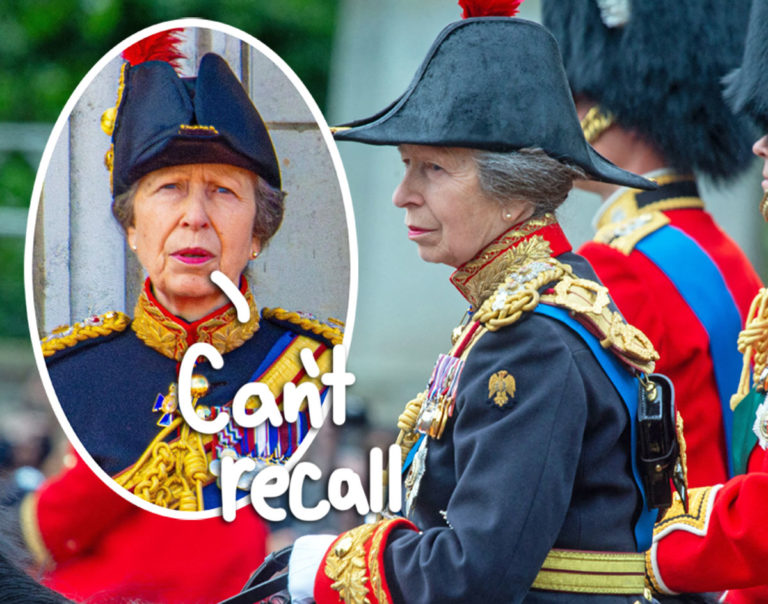 Princess Anne Still 'Can't Remember' Incident With Horse That Caused ...