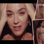 Katy Perry Under Investigation For Environmental Damage In Lifetimes Music Video!