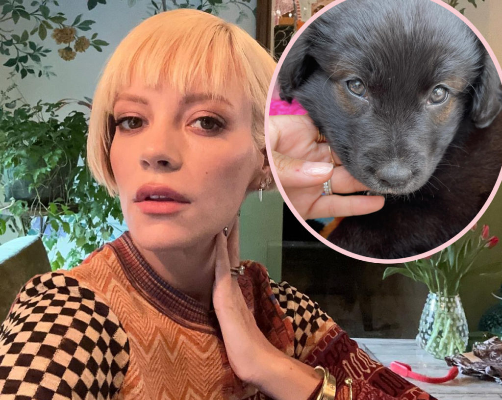 Lily Allen Got Rid Of Her Dog After It ‘Ruined My Life’