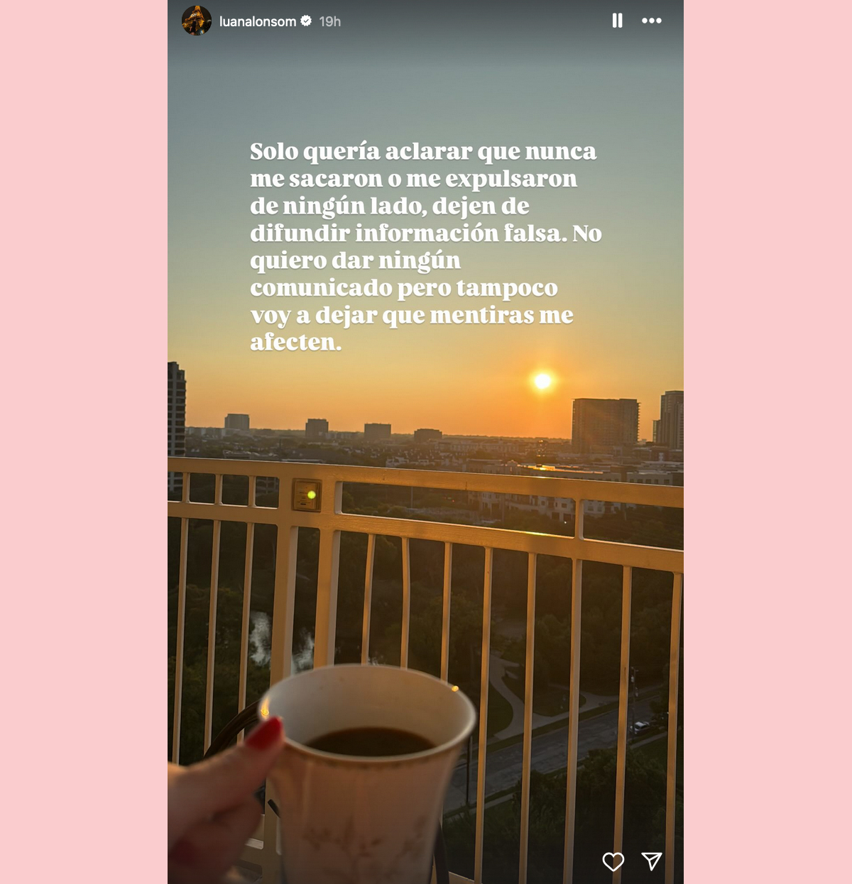 Luana Alonso denial on Instagram Story