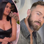 Nikki Garcia & Artem Chigvintsev Went To Couples Therapy Years Before Domestic Violence Arrest -- For THIS Issue!