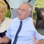 RFK Jr. Admits To ANOTHER Insane Scandal -- Covering Up The Killing Of A Baby Bear Cub