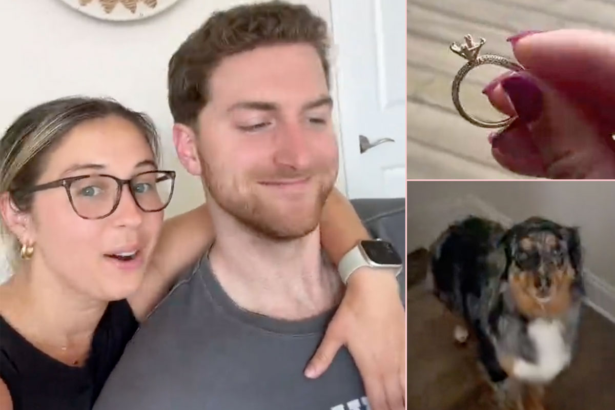 The bride’s dog ate a diamond from her engagement ring before the wedding! And the worst part was…