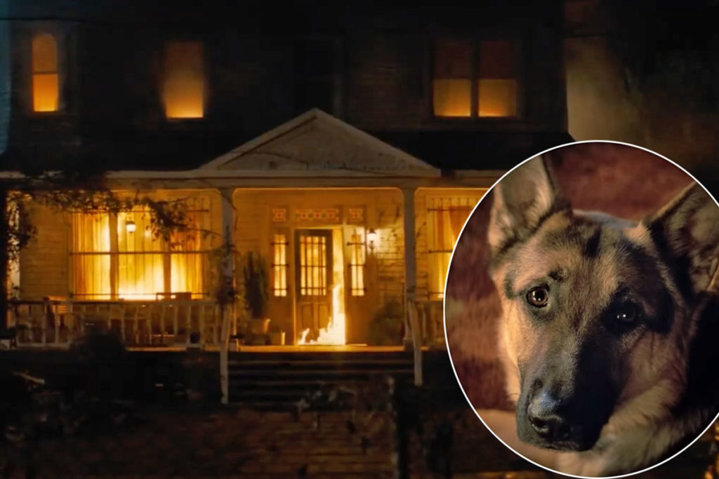 Dog Accidentally Starts RAGING House Fire! And It's All Caught On Video!