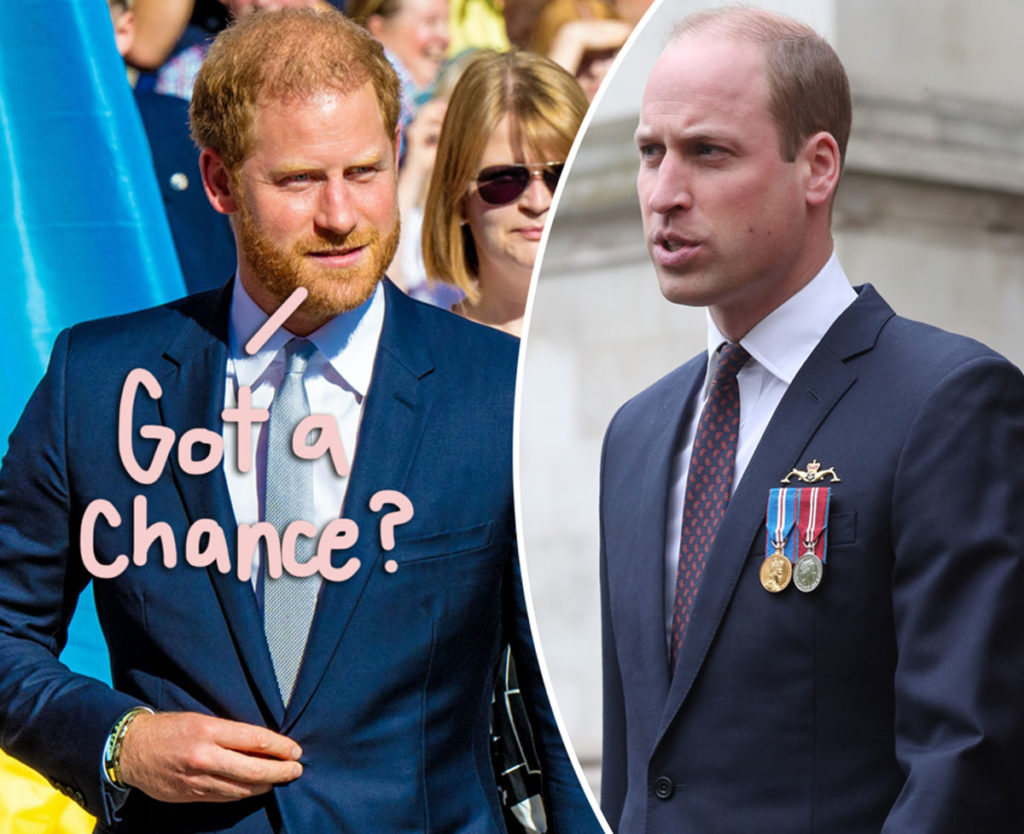 Prince Harry and Prince William's Rift Is 'Very Bad' but Not 'Irreparable,'